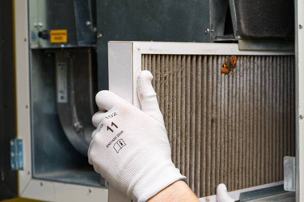 Best Air Duct Cleaning Near Me  in Woodbury, MN