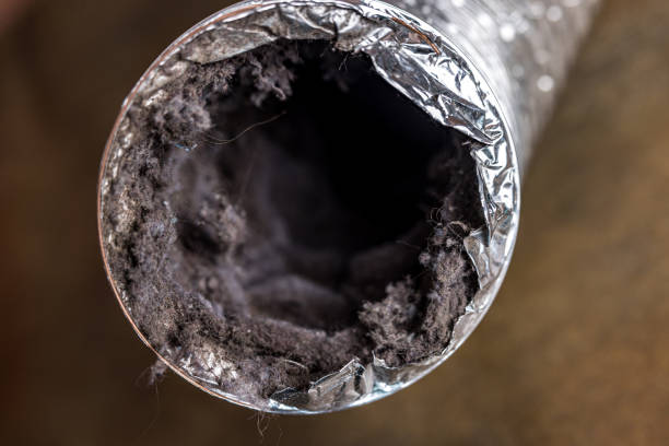 Best Ventilation Cleaning Services  in Woodbury, MN