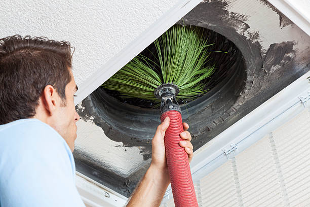 Best Air Duct Sanitizing Services  in Woodbury, MN
