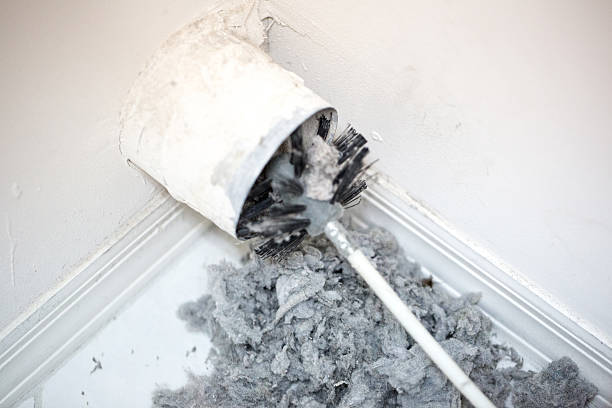 Best Duct Cleaning for Homes  in Woodbury, MN