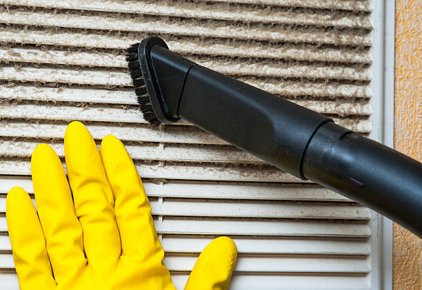 Best Air Duct Cleaning Near Me  in Woodbury, MN